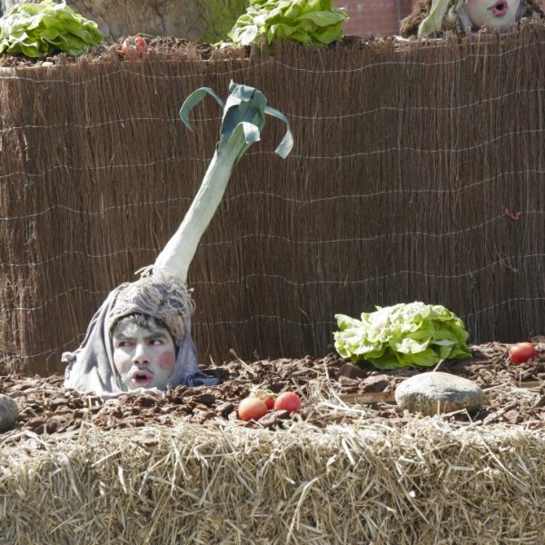 opéra de légumes